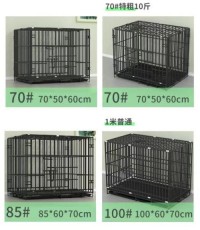 Pigeon Cages